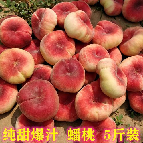 桃陕西现摘毛蟠桃甜水蜜桃子扁桃新鲜水果脆孕妇毛桃独立站