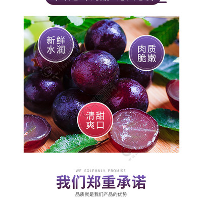 简约风格蓝色夏黑新鲜葡萄水果食品电商详情模板免费下载_psd格式_790像素_编号36202000-
